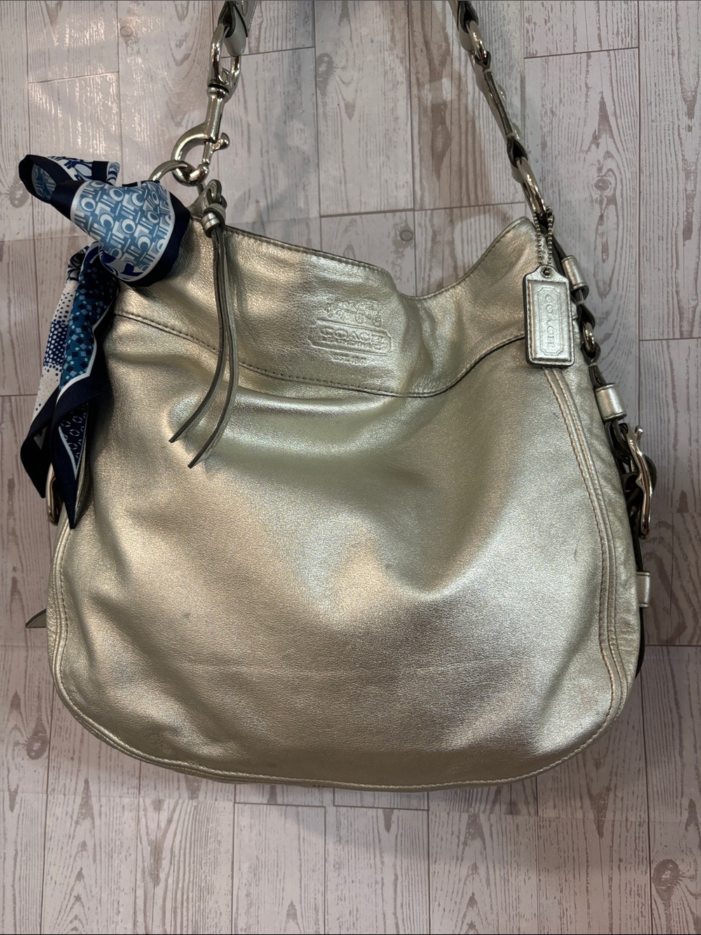 Coach Metallic Silver Leather Zoe Hobo Shoulder Bag